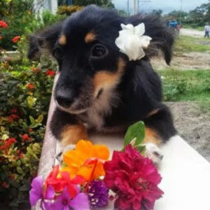 Meet your Posher, Odalis